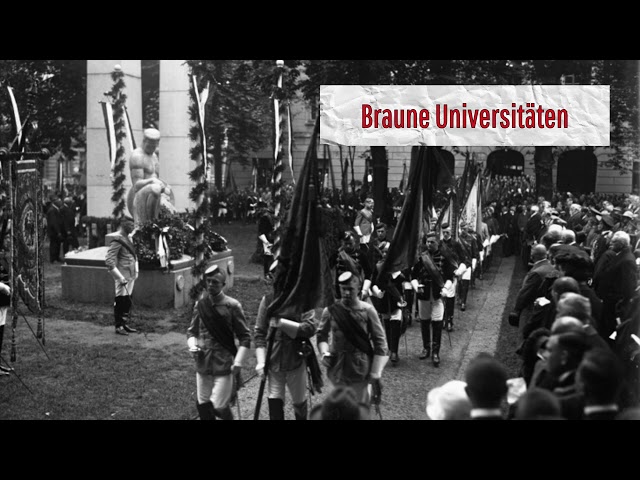 #33.33 Braune Universitäten