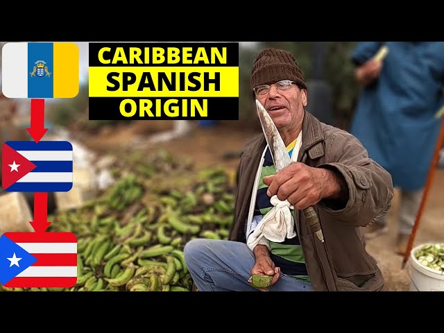 Why Is Caribbean Spanish So Complicated?🇮🇨🇨🇺🇩🇴🇻🇪🇵🇷