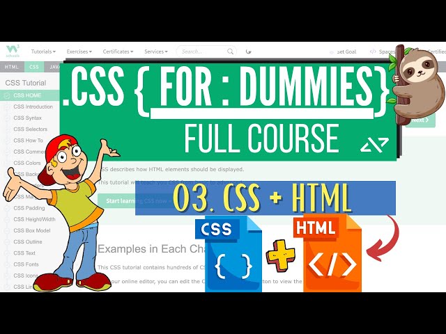 CSS for Dummies: 03 Understanding Html and CSS | Basics of HTML & CSS | What is CSS | W3Schools CSS