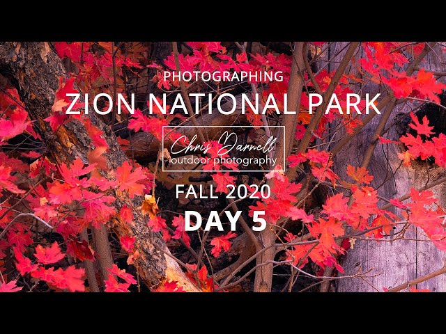 Photographing Zion National Park - Fall 2020 (Day 5)