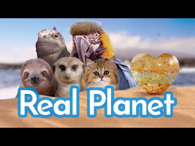 Real Planet: Best Bits