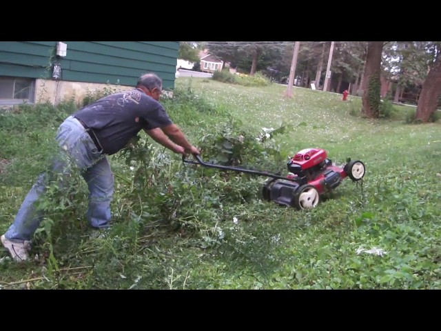 Greg Zanis Got A Free Toro Lawn Mower From Craigslist and Cutting The Long Greens