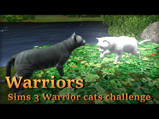 Dreams of Stars🐈⭐Sims 3: Warrior cats Legacy #16