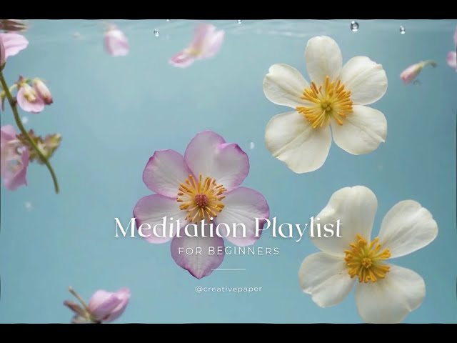 Animated Meditation Playlist