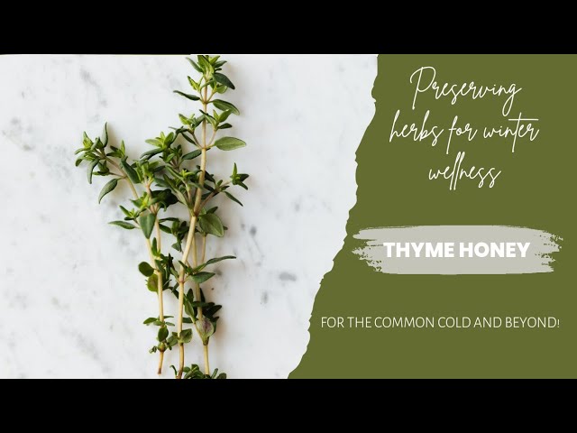 Home Grown Medecine Series - Thyme Honey for Cough and Sore Throat