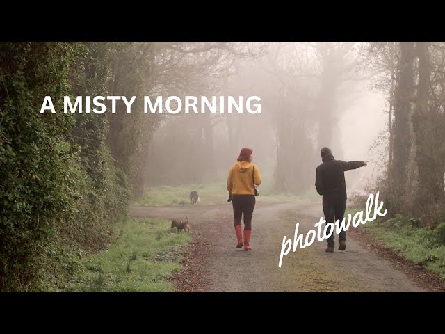 A misty morning in France (photo walk with the dogs)