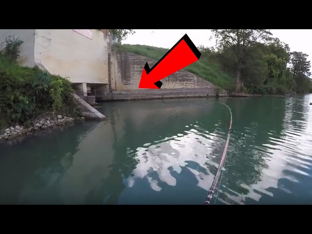 Unexpected Rare Catch at Spillway with Live Goldfish