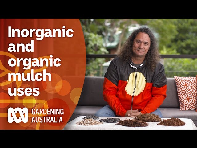 What are the differences between organic and inorganic mulch? | Gardening 101 | Gardening Australia