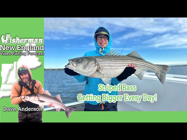 May 16th 2024 New England Video Fishing Forecast with Dave Anderson