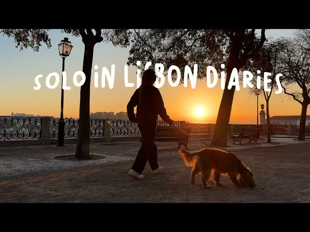 last days dog sitting in lisbon, sunset walks, remote working and a few sick days | lisbon pt 3