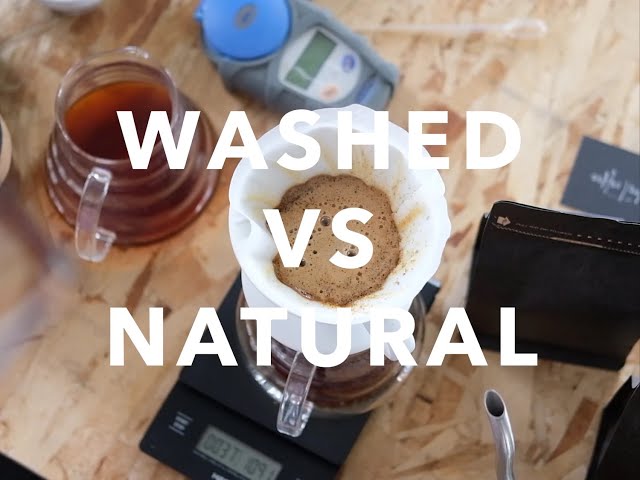How to brew coffee on a V60 - Washed vs Natural Gesha