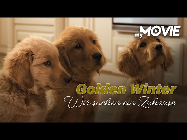 Golden Winter - Wir suchen ein Zuhause (WEIHNACHTS-MOVIE FÜR FAMILIEN - ganzer Film kostenlos)