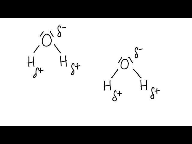 A1.1.2 Polarity of water and hydrogen bonding