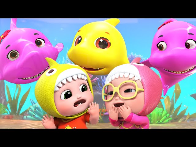 Baby Shark | Baby Shark Doo Doo Doo Dance + More Baby ChaaChaa Nursery Rhymes & Kids Songs