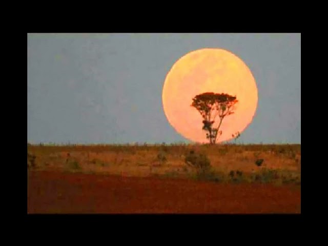 Boney M. - African Moon (Instrumental Version)