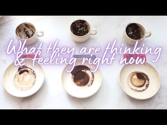 COFFEE CUP READING | What they are thinking & feeling right now