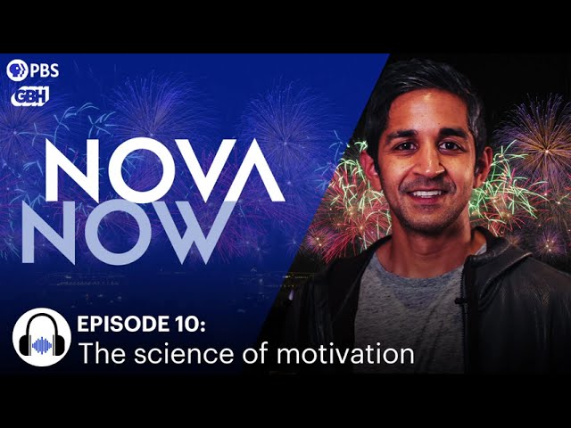 The science of positive motivation for the New Year I NOVA Now I PBS