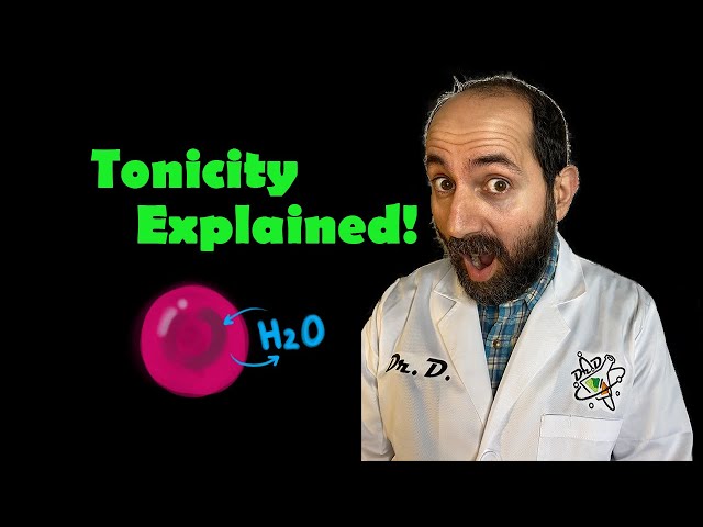 TONICITY EXPLAINED! Animal and plant cells in hyper- hypo- and iso- tonic environments!