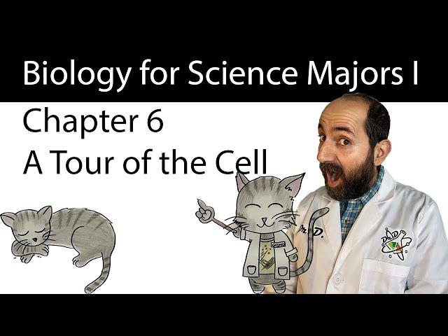 Chapter 6 - A Tour of the Cell