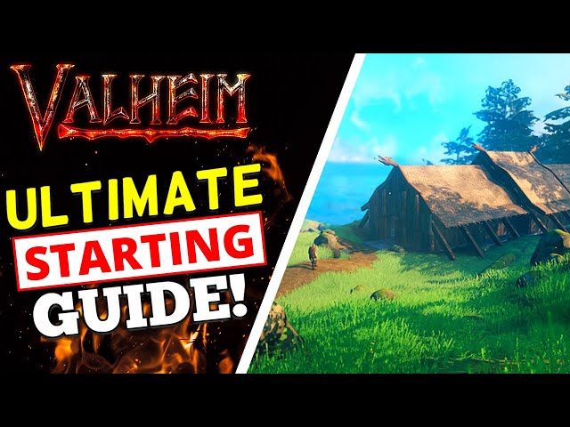 Valheim Guide - Beginner Tips on How To Get Started!