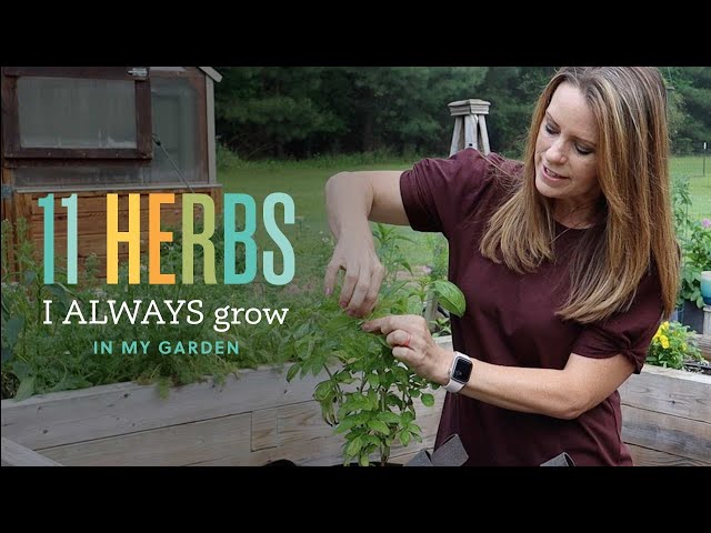 11 Herbs I ALWAYS Grow in My Garden