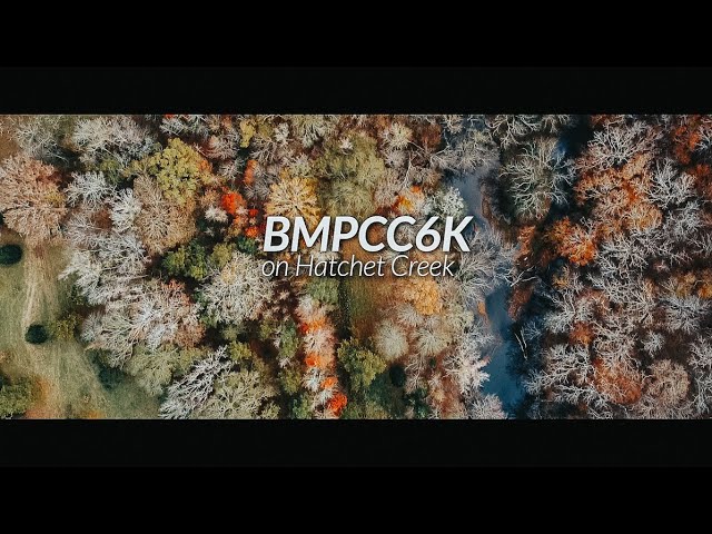 BMPCC6K // on Hatchet Creek