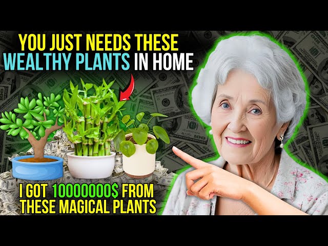 NEVER TAKE THIS PLANT OUT OF YOUR HOUSE - ATTRACT MONEY and WEALTH