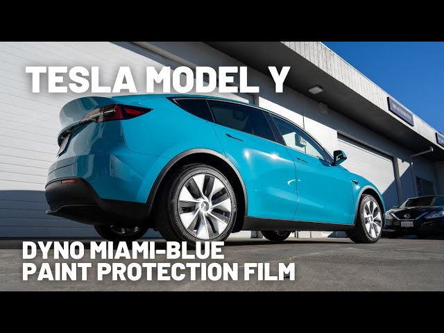 STEK DYNOMiami Blue Paint Protection Film - Tesla Model Y