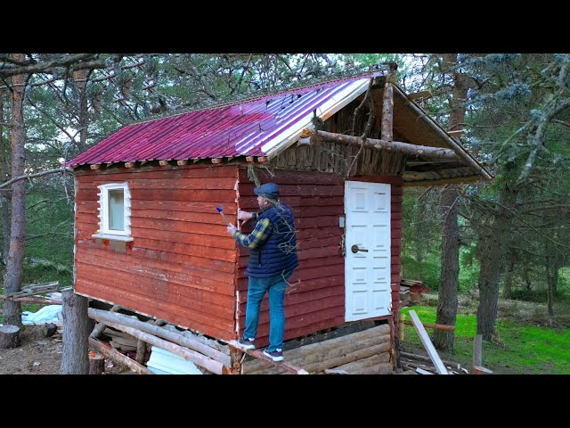 I repair the wooden house I abandoned in the forest in 72 hours and hide in it.