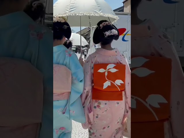 花見小路でお姐さんに挨拶する舞妓さん #京都 #舞妓