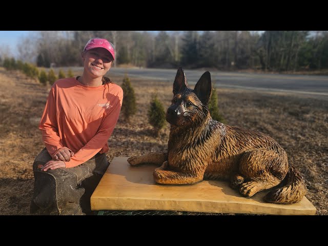 Carving a Life Sized German Shepard