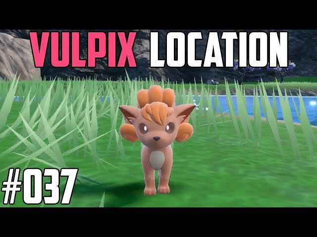 How to Catch Vulpix - Pokémon Scarlet & Violet (DLC)