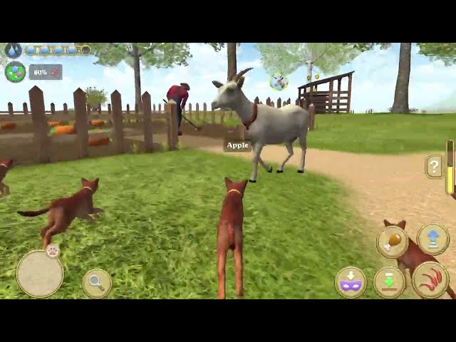 Little Cat Simulator : Kitties Family NEW Baby Adventure Games iOS - Play Fun Cute Kitten #13
