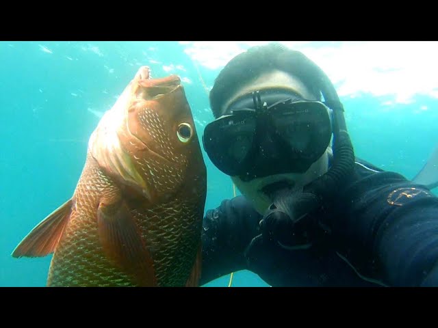 Spearfishing RED SNAPPER||ILAK atbp....😱🎯😇