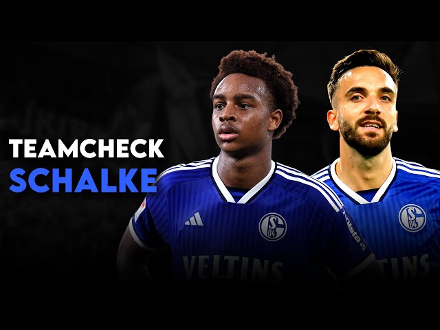 Ist diese Mannschaft überhaupt gut genug für den Aufstieg? | Teamcheck Schalke