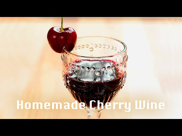 Homemade Cherry Wine｜Natural Fermentation @beanpandacook
