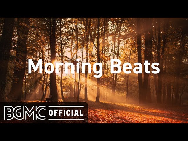 Morning Beats: Relax Music Beats for Autumn Mood - Chill Jazzy Beats to Study, Work and Relax