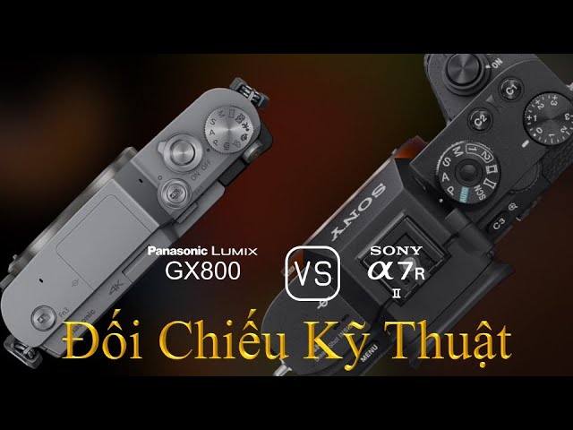 Panasonic Lumix GX800 và Sony A7R II: Một Đối Chiếu Về Thông Số Kỹ Thuật
