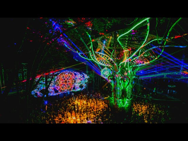 ॐ SET - Forest Psychedelic - Psy Trance Forest Night Mix ॐ