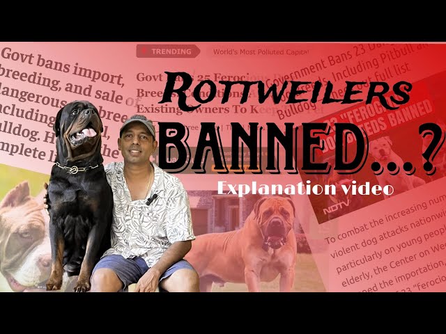 Rottweiler Banned ?? Know More