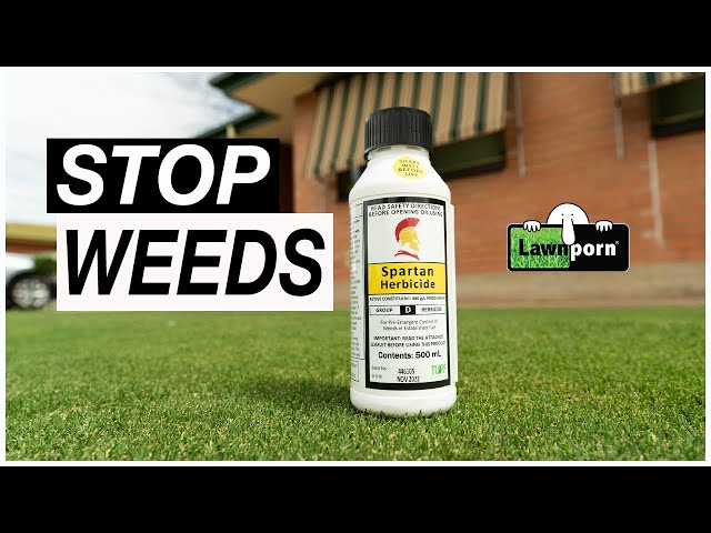 Stop Weeds Before They Grow: Pre Emergent Herbicide