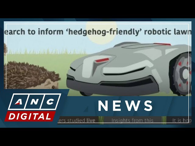 Using hedgehog 'crash test dummies' to test robot lawnmowers | ANC
