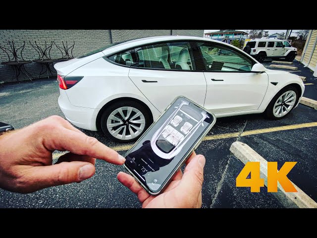 Tesla Model 3 (2022) In-Depth Review & Test Drive - average guy tested #APPROVED
