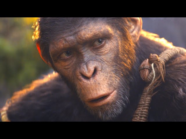 The Ending Of Kingdom Of The Planet Of The Apes Explained
