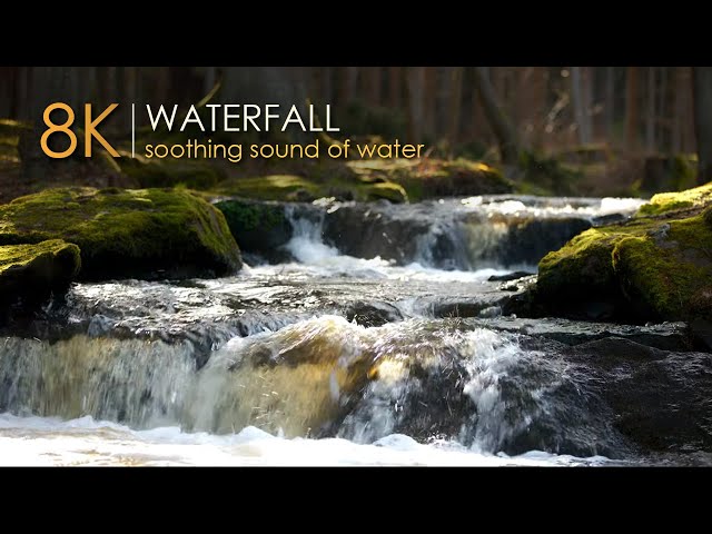 Amazing Forest Waterfall 💦 Crystal Pure Sounds of Water 🌳 8K Video