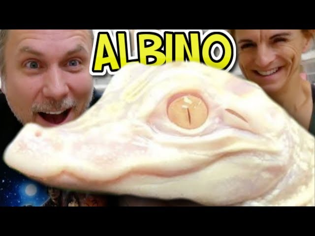 I GOT AN ALBINO ALLIGATOR!!! | BRIAN BARCZYK