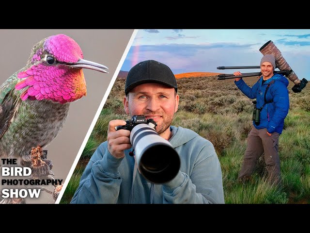 MASTER Hummingbird Photography + SET UPS To Turn ANY Space Into A Bird Photography HOT SPOT!