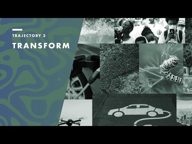 TIME TO TRANSFORM: The Transform Trajectory