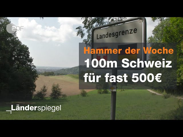 Ärger mit dem Zoll an grüner Grenze - Hammer der Woche vom 31.08.2019  | ZDF