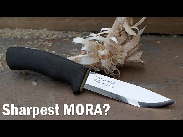 WORLDS SHARPEST MORA? - How to sharpen a Mora Bushcraft (Scandi)